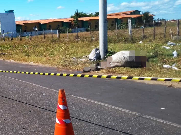 Veículo colide e mata vaca em rodovia estadual de Luís Correia