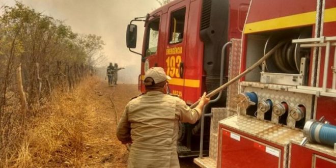 Governo fortalece ações de prevenção e combate a incêndios durante o b-r-o bró