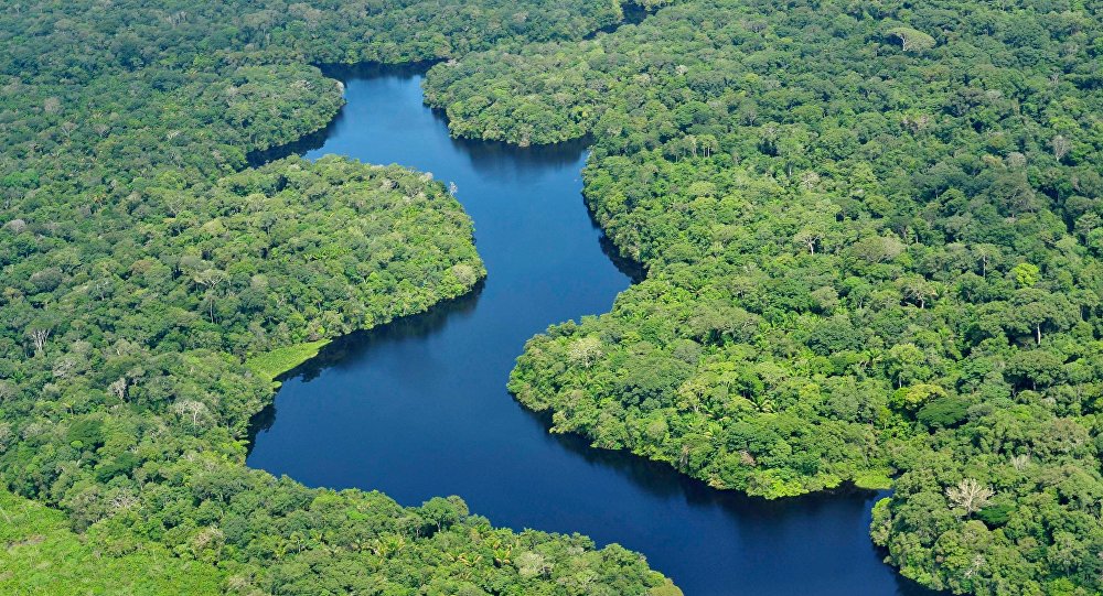 A Amazônia Brasileira e as falsas aparências