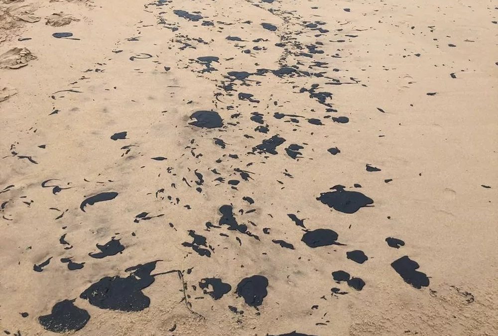 Óleo que atinge praias do Nordeste é petróleo e não é brasileiro, diz Ibama