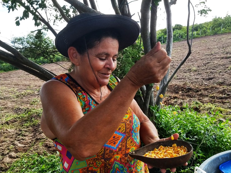 Alimentando tradição, agricultores de Parnaíba plantam no Dia de São José