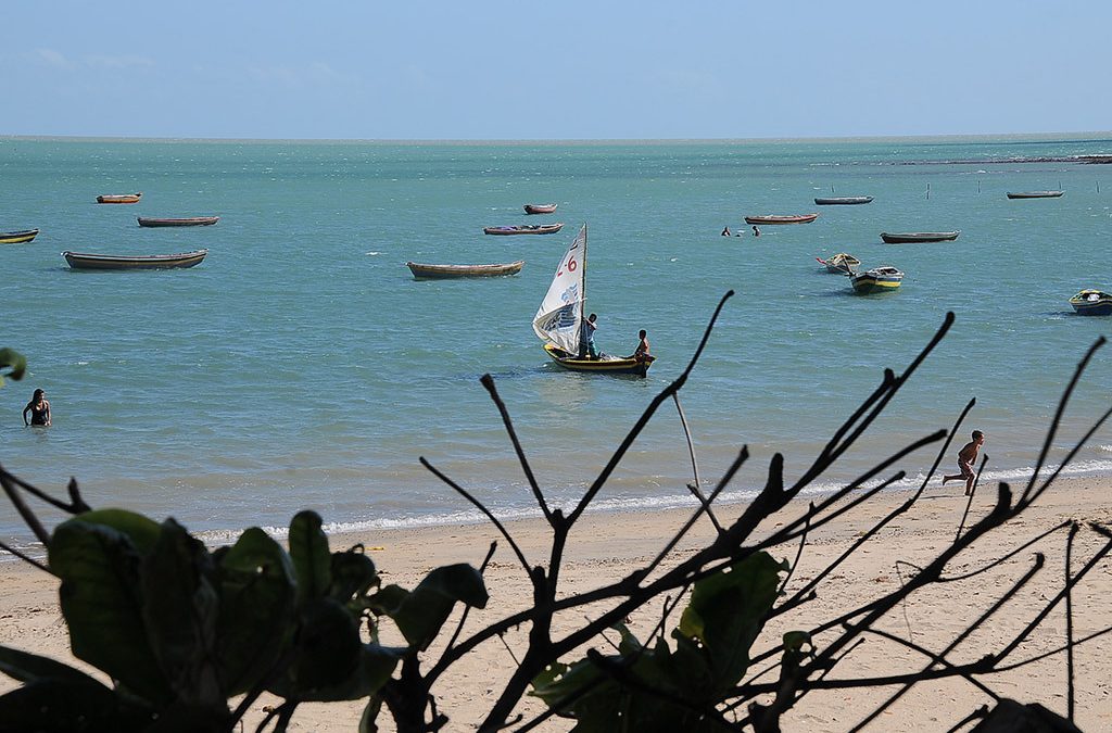 Cajueiro da Praia suspende visitação turística, transportes e hotéis