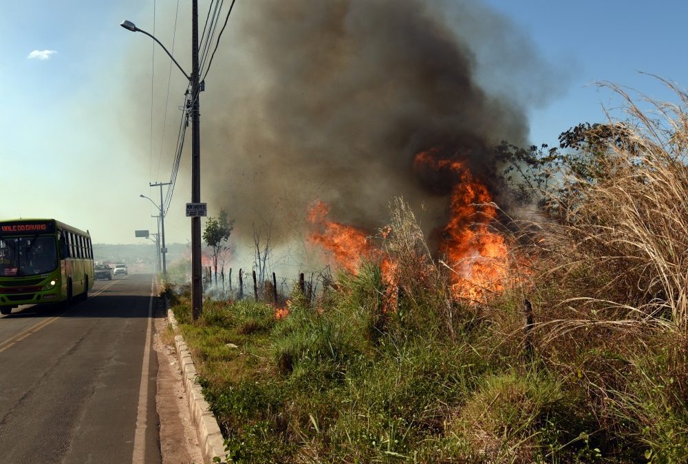 Cresce o número de focos de queimadas que afetam a rede elétrica no Piauí
