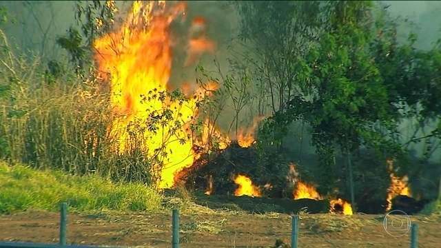 Piauí bate recorde com 481 queimadas em 24 horas, o maior número do Brasil