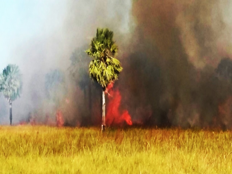 Corpo de Bombeiros registra aumento expressivo de incêndios em vegetação no litoral