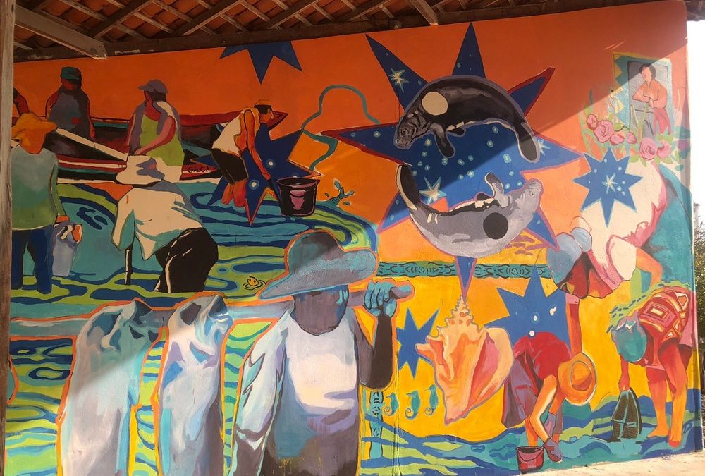 Artista plástica faz projeto para preservação do peixe-boi no litoral do Piauí