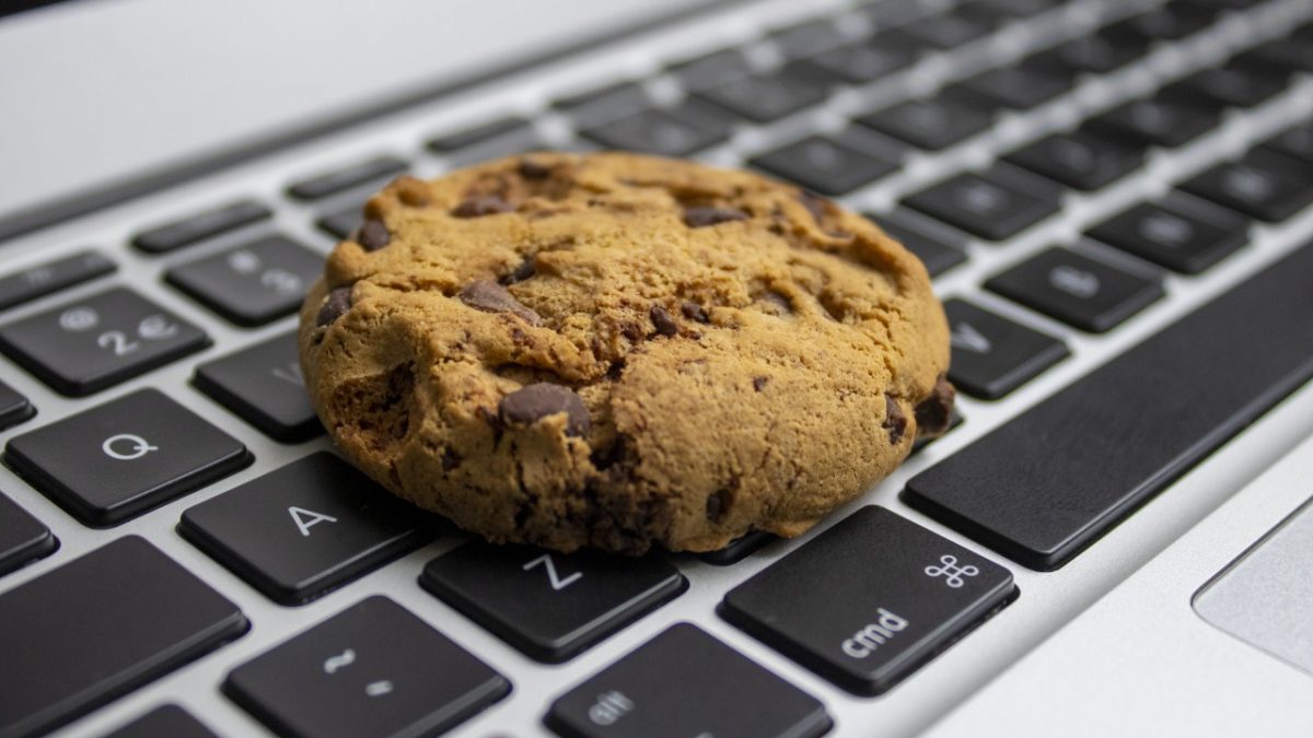 Especialista explica o que são os cookies na web e para quê servem