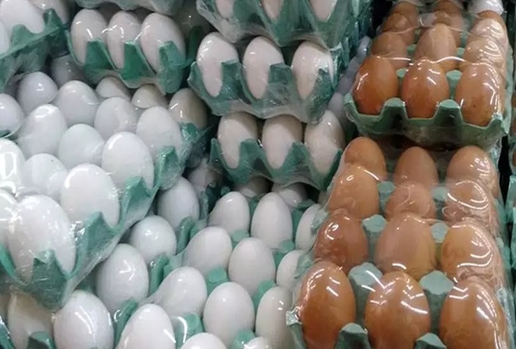 Produção de ovos de galinha do Piauí cresceu 85% em dez anos