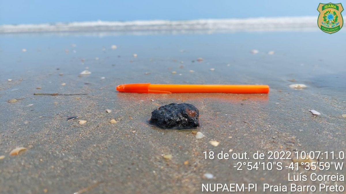 Manchas de óleo reaparecem e atingem praias no litoral do Piauí