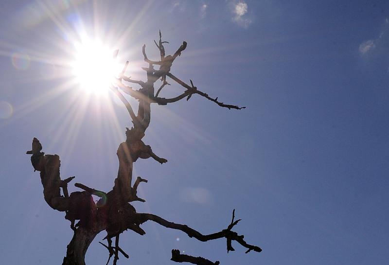 Estiagem e altas temperaturas são previstas para próximo trimestre no Piauí