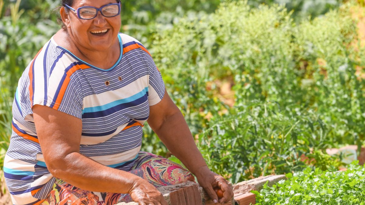Programa de Aquisição de Alimentos beneficiou mais de 30 mil agricultores familiares no Piauí