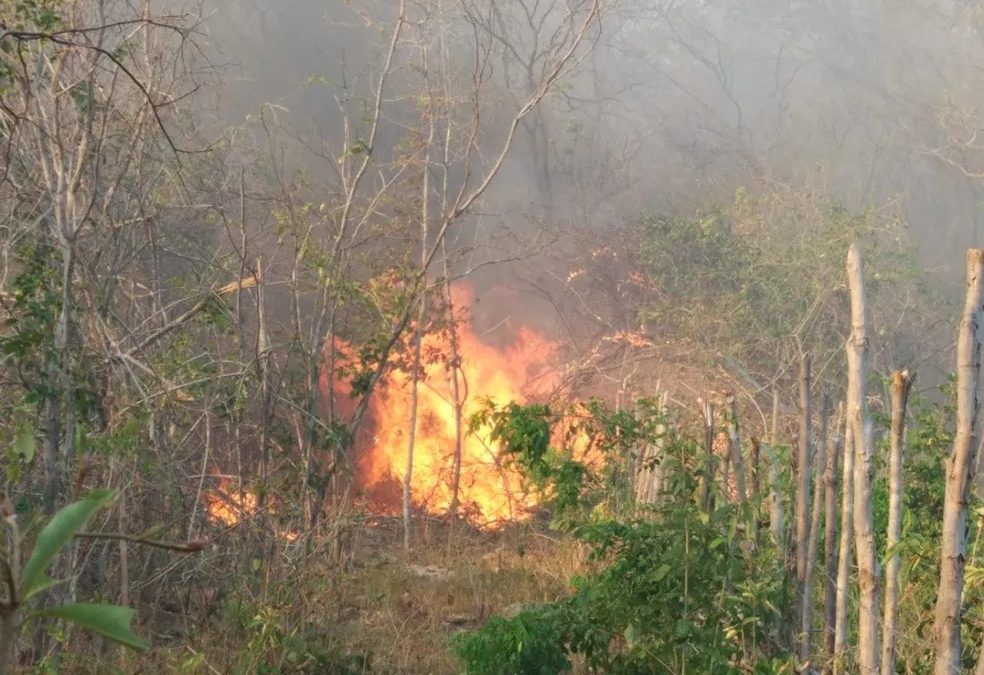 Semarh lança plano interno de ações para prevenção e controle de incêndios no Piauí