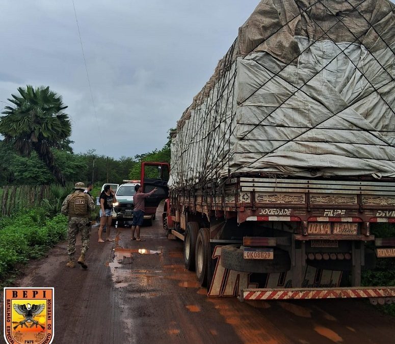 Polícia Militar flagra extração ilegal de madeira em fazenda de Caxingó