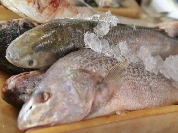 Vigilância Sanitária conscientiza consumidores de Parnaíba sobre alimentos seguros na Semana Santa