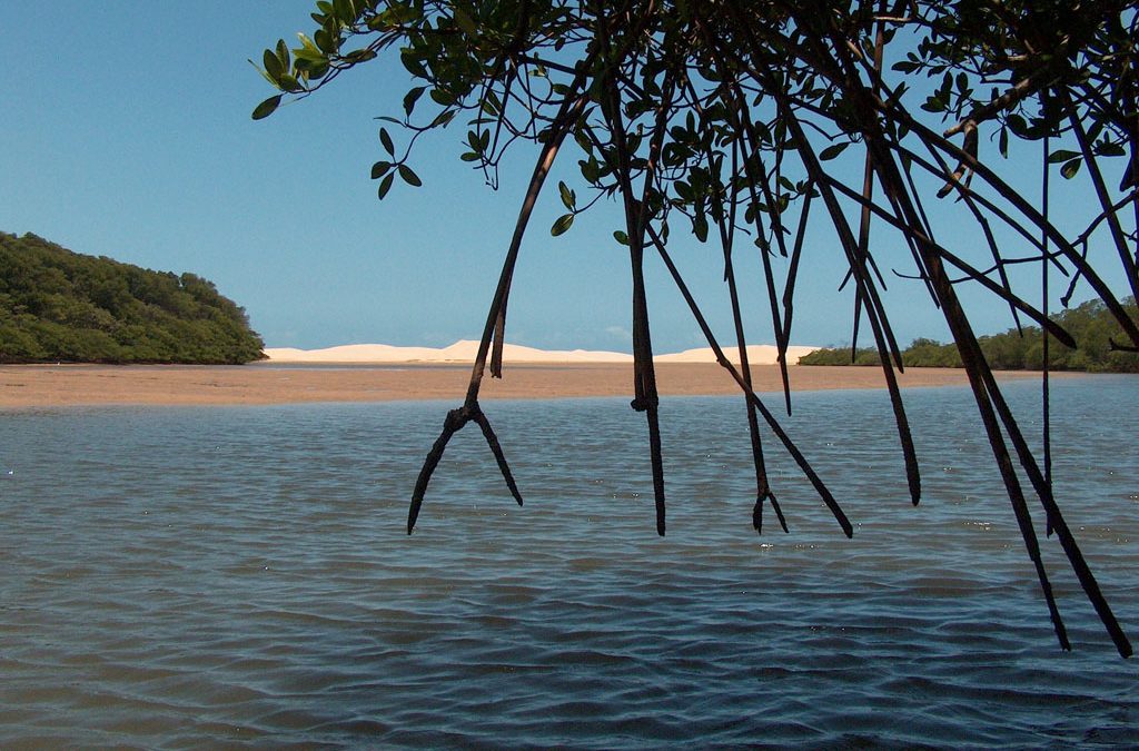 APA do Delta do Parnaíba, uma extensão de beleza e biodiversidade