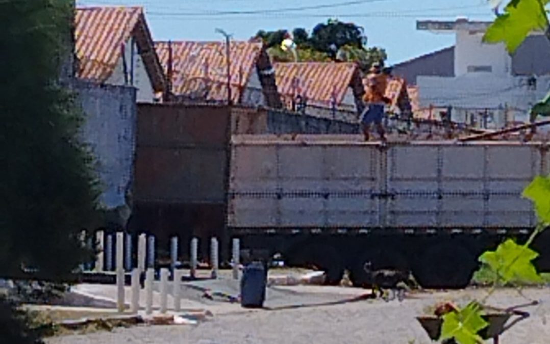 Carga de 31.500 kg de madeira ilegal é confiscada em Parnaíba