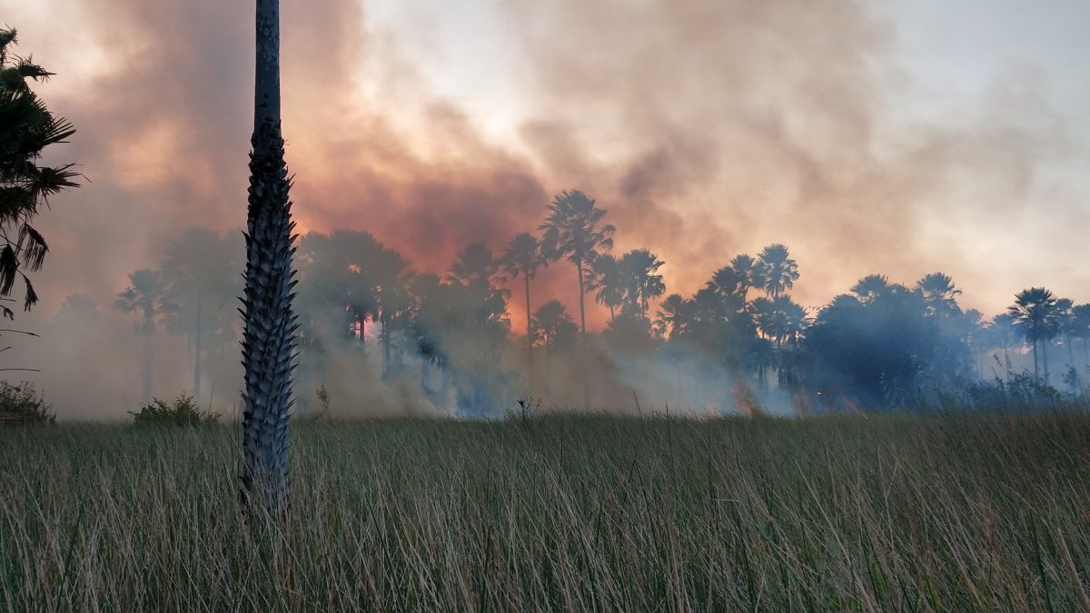 Piauí utiliza Inteligência Artificial no monitoramento e prevenção de incêndios