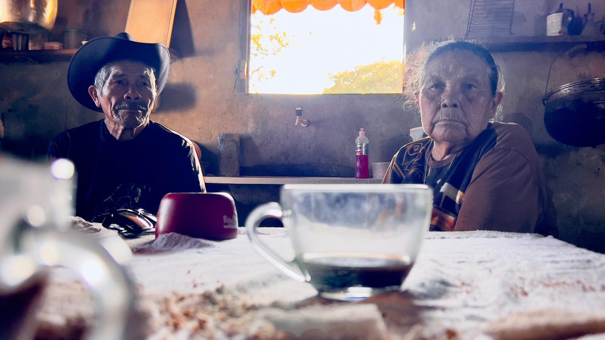 Parnahyba Indígena: Audiovisual resgata a resistência ancestral no Litoral do Piauí