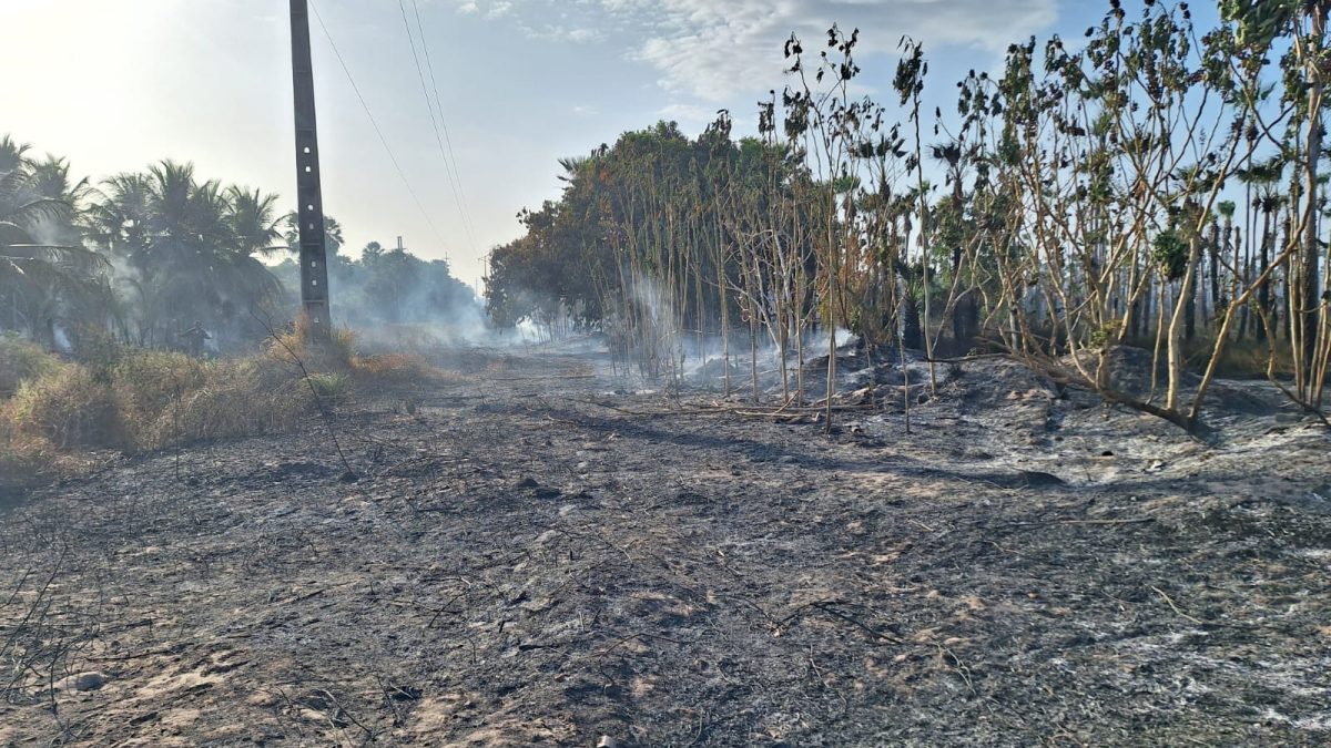 Incêndio de grandes proporções ameaça moradores e destrói quintais no Bairro Tabuleiro, em Parnaíba