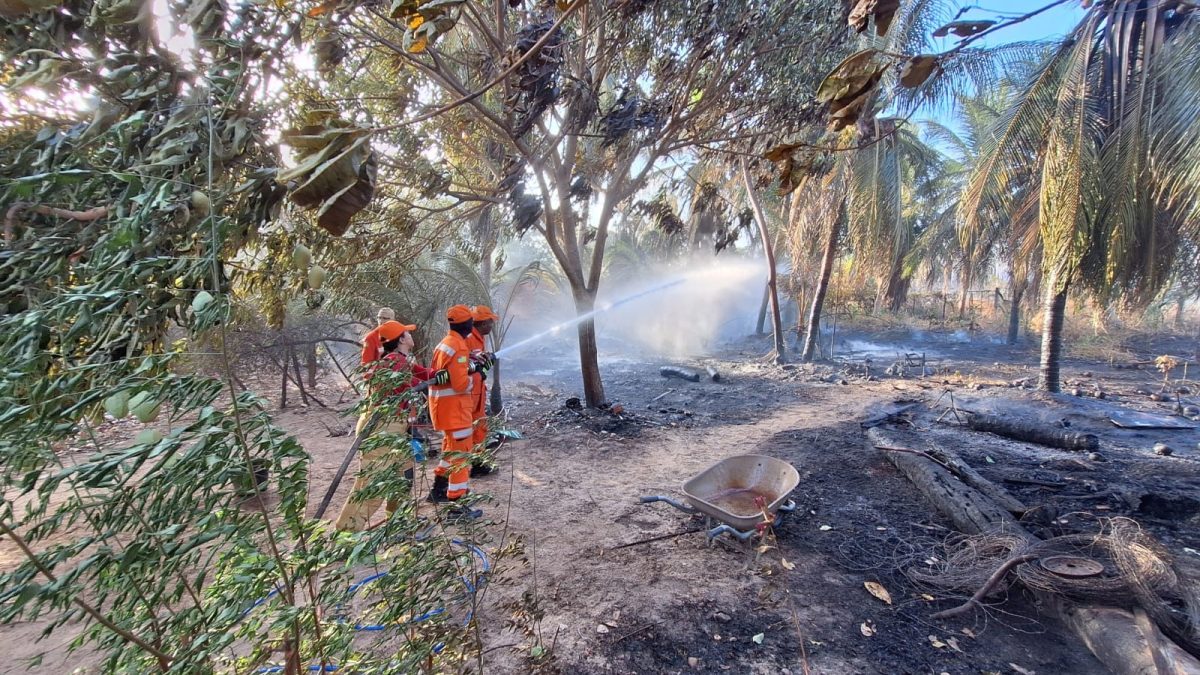 Corpo de Bombeiros já combateu 442 incêndios florestais no Piauí em 2024