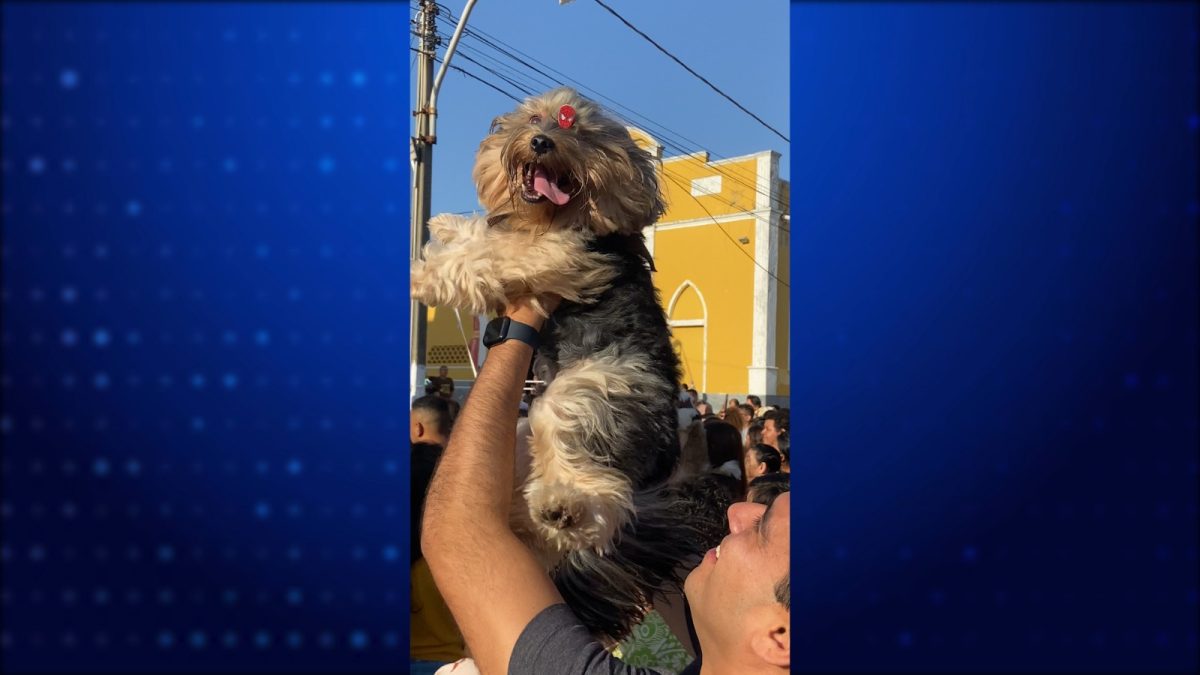 Fiéis celebram São Francisco de Assis com a tradicional bênção dos animais em Parnaíba