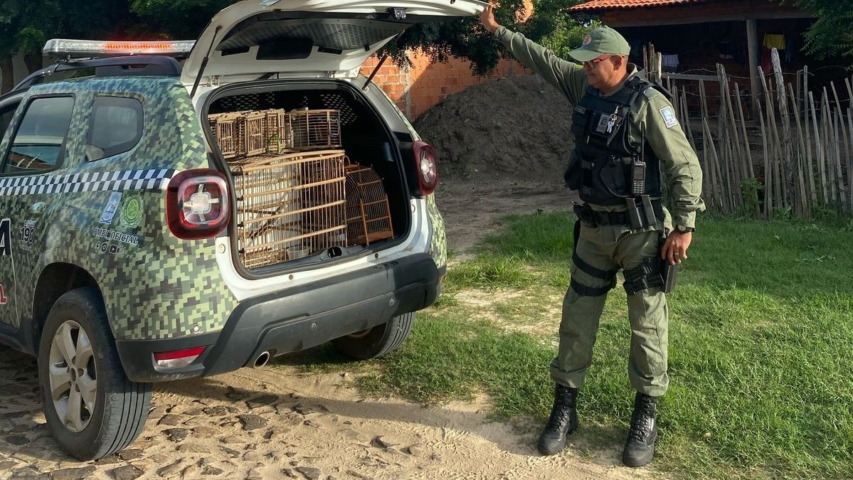 Polícia Ambiental resgata seis pássaros silvestres mantidos em cativeiro no Bairro Tabuleiro