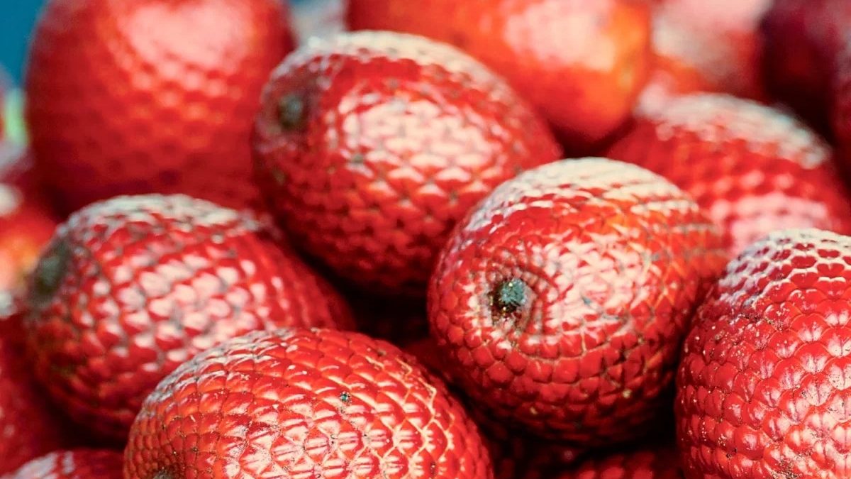 Buriti: sabor nordestino que conquista gerações na Feira da Caramuru
