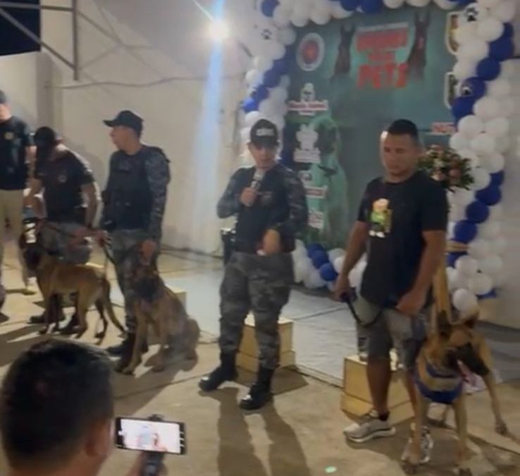 Evento reúne comunidade em campanha contra maus-tratos a animais em Parnaíba