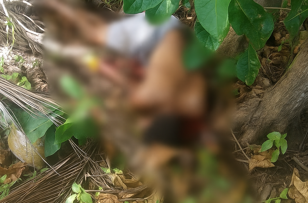 Corpo de homem é encontrado com marcas de tiros no bairro Cearazinho, em Luís Correia
