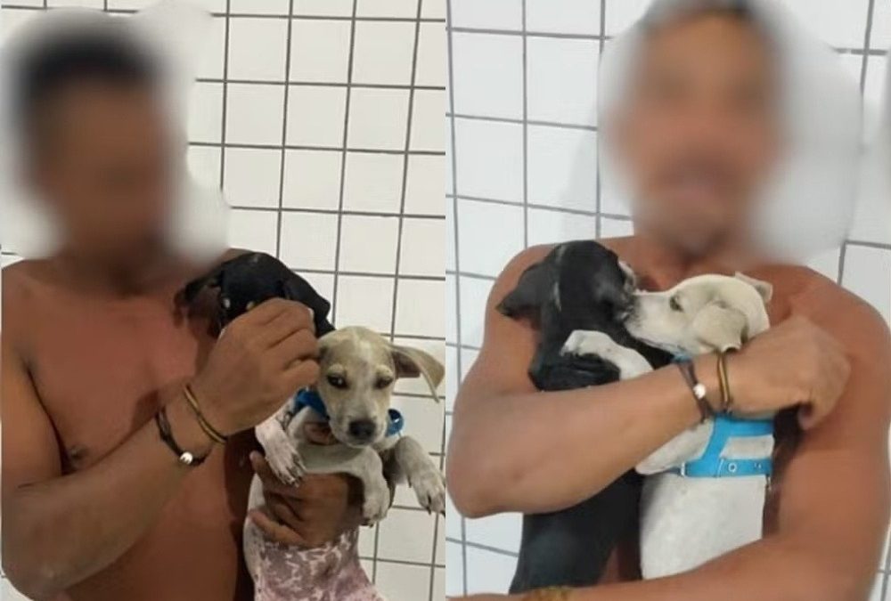 Homem é preso por maus-tratos após tentar afogar filhotes de cachorro na Pedra do Sal