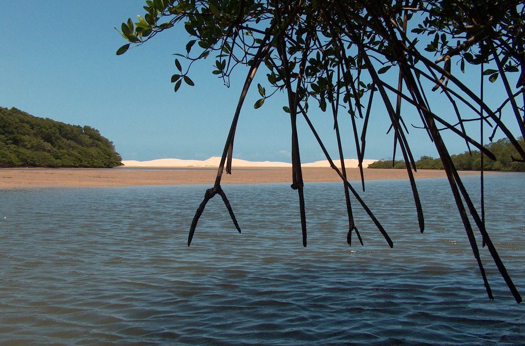 Piauí está entre os estados com maior população em áreas de conservação ambiental
