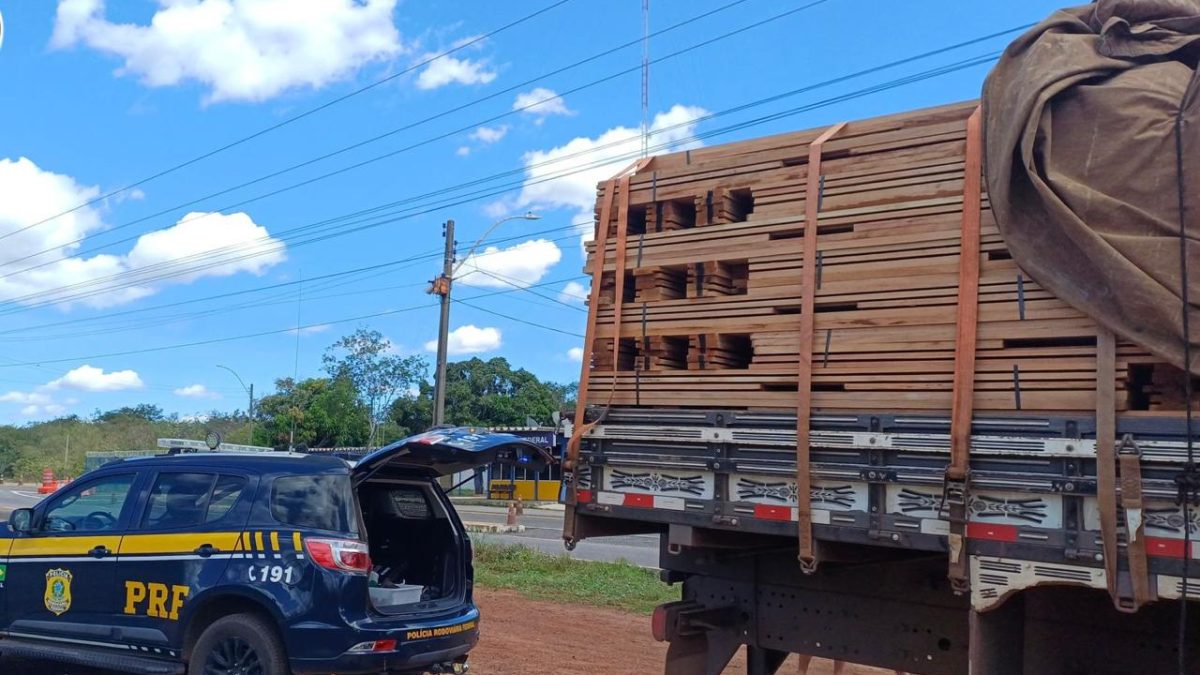 Madeira ilegal e aves silvestres são apreendidas durante operação no norte do Piauí