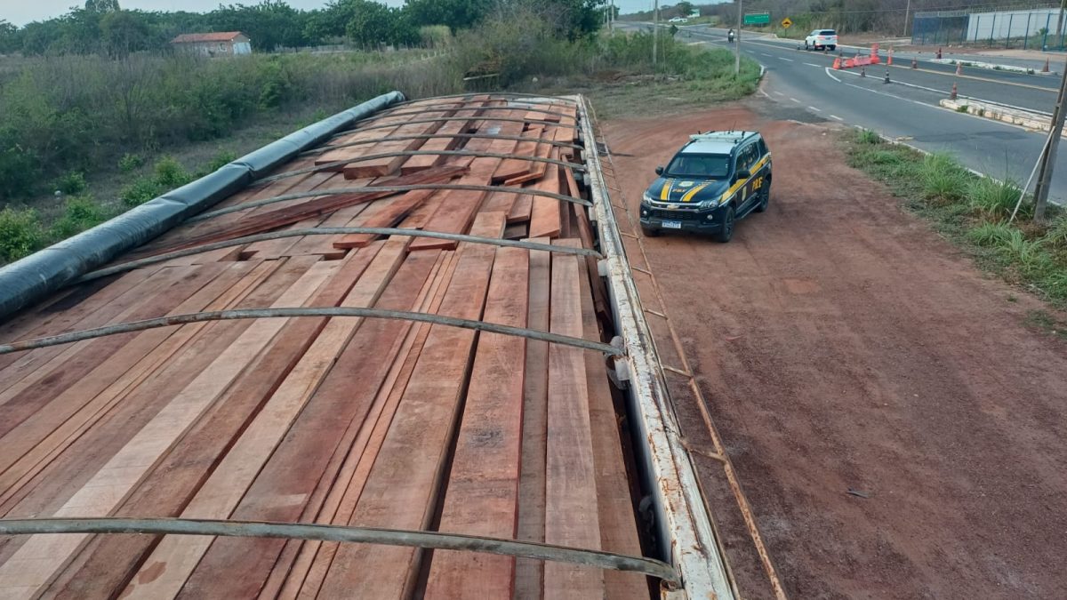 PRF apreende caminhão com 38m³ de madeira irregular na BR-343 em Parnaíba