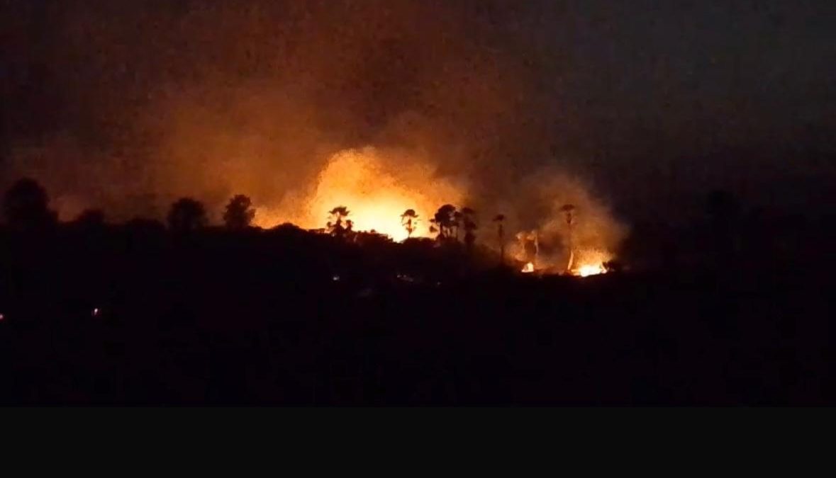 Fogo atinge vegetação perto da estrada de acesso à Pedra do Sal