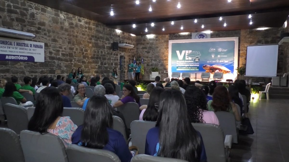 Parnaíba recebe simpósio nacional de tartarugas marinhas