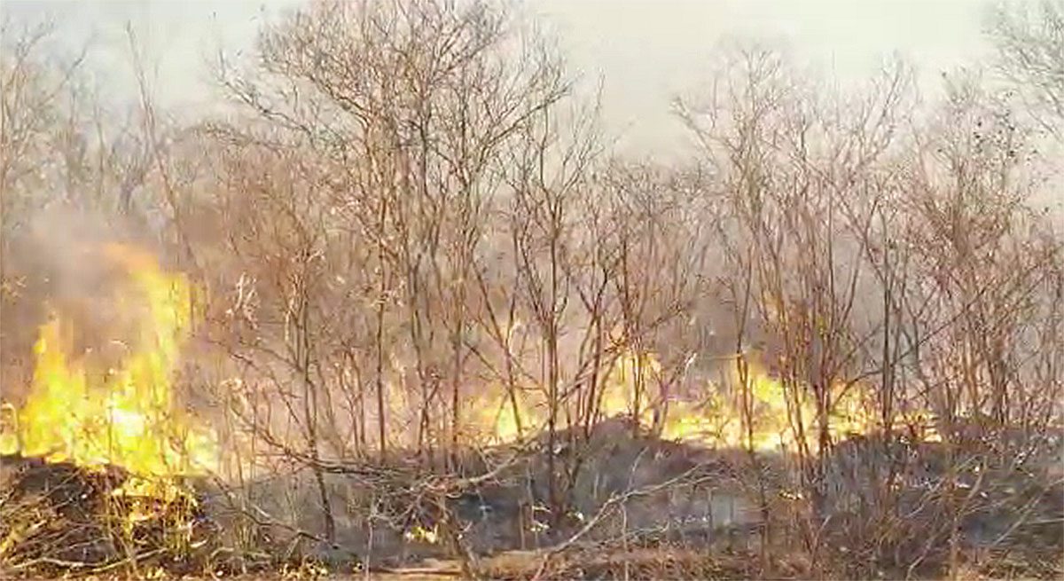 Piauí amplia por 30 dias a proibição do uso do fogo em áreas rurais devido ao risco de incêndios