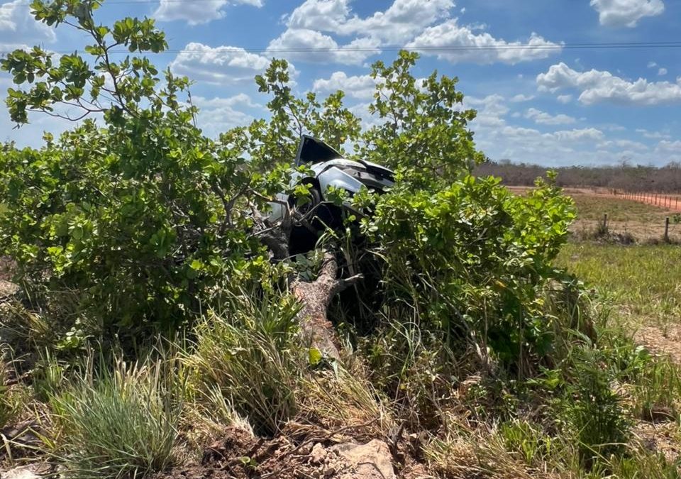 Mulher e três crianças de Parnaíba ficam feridas após carro colidir em árvore na BR-343
