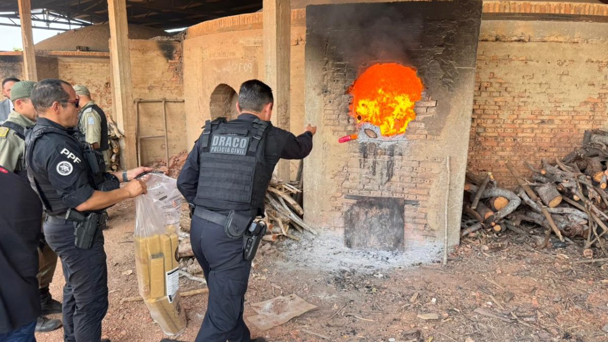 Uma tonelada de drogas é destruída após operações que atingiram uma organização criminosa