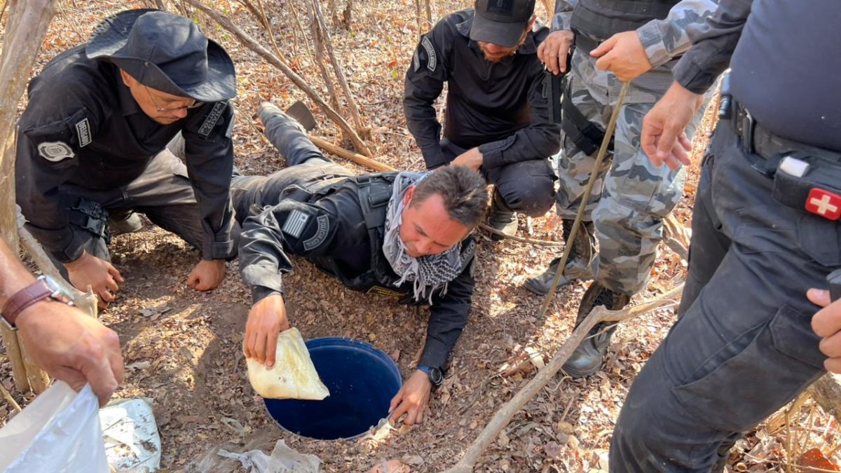 Operação integrada apreende uma tonelada de drogas em dois dias no Piauí