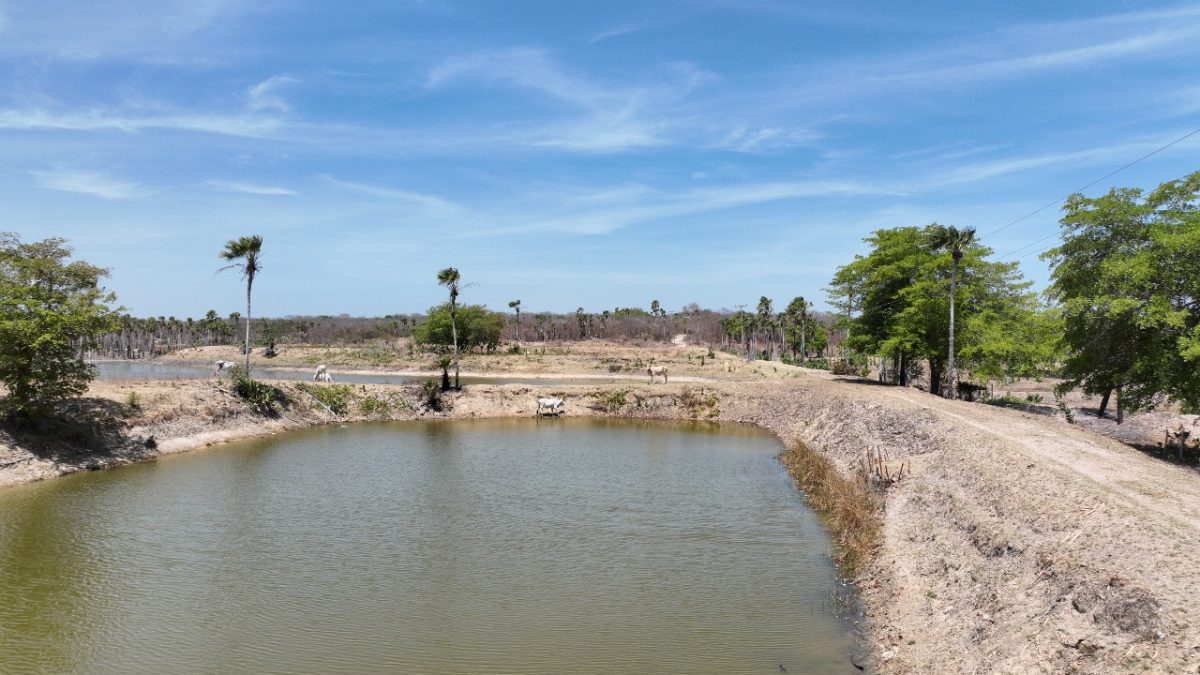 Fiscalização na Lagoa do Portinho encontra irregularidades e gera ações imediatas para conter danos ambientais