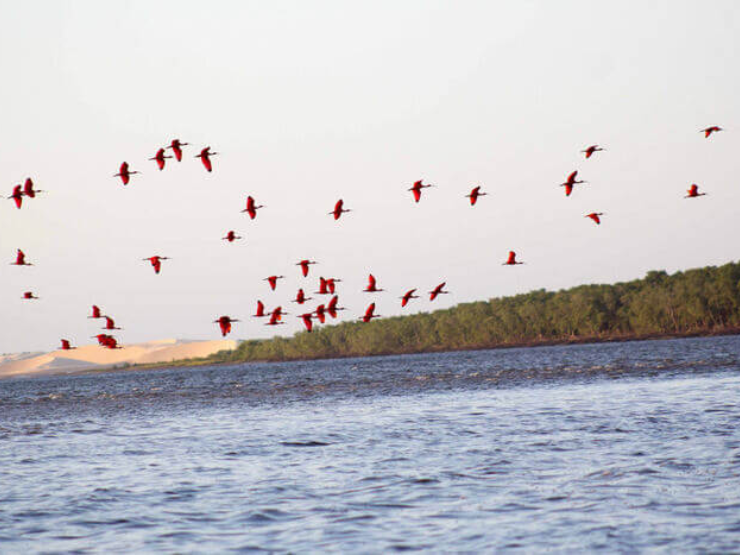 Piauí entra para a lista dos 15 melhores destinos de ecoturismo do Brasil