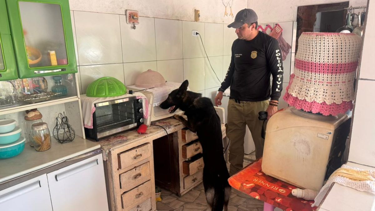 Operação integrada prende mulher por tráfico de drogas em Parnaíba