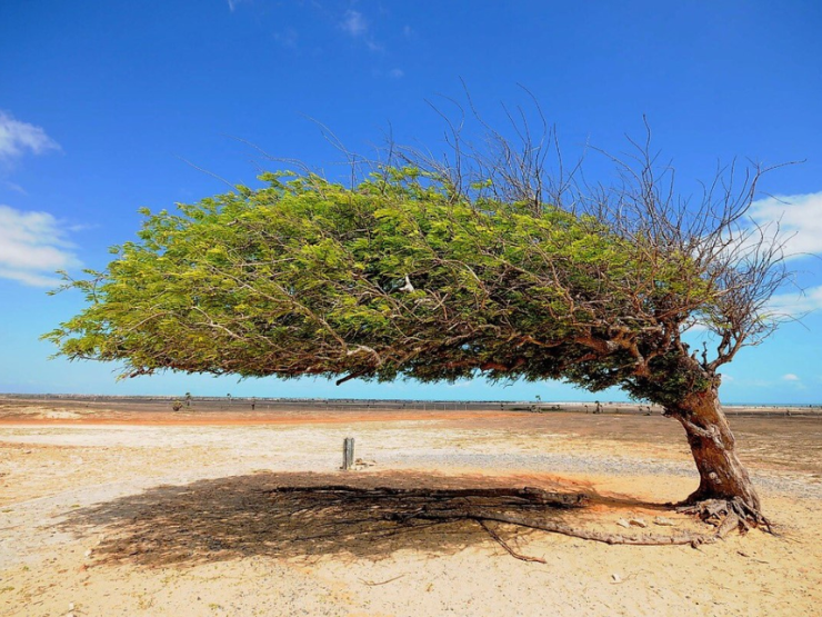 Turismo gera cerca de 60 mil empregos e fortalece economia no Piauí