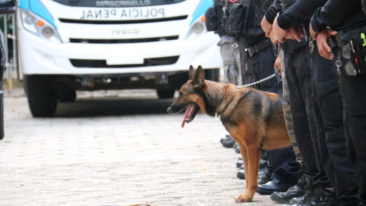 Operação Dominatus XI reforça segurança no sistema prisional de Parnaíba durante período festivo