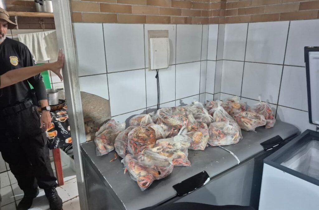 Fiscalização apreende caranguejos durante defeso em Luís Correia