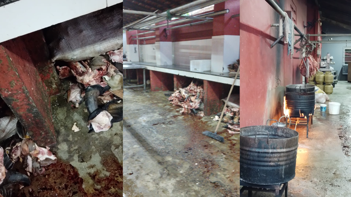 Vigilância Sanitária identifica irregularidades graves em abatedouro clandestino em Parnaíba