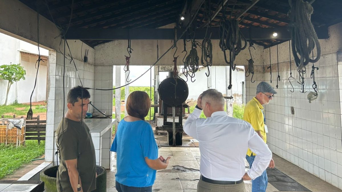 Ministério Público cobra empresa e pode interditar matadouro público de Parnaíba
