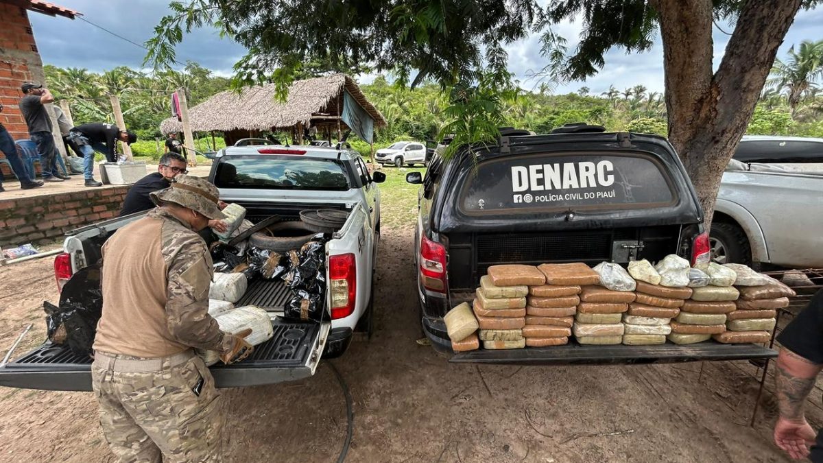 DENARC apreende 732 kg de drogas no primeiro quadrimestre e supera marca de 2025