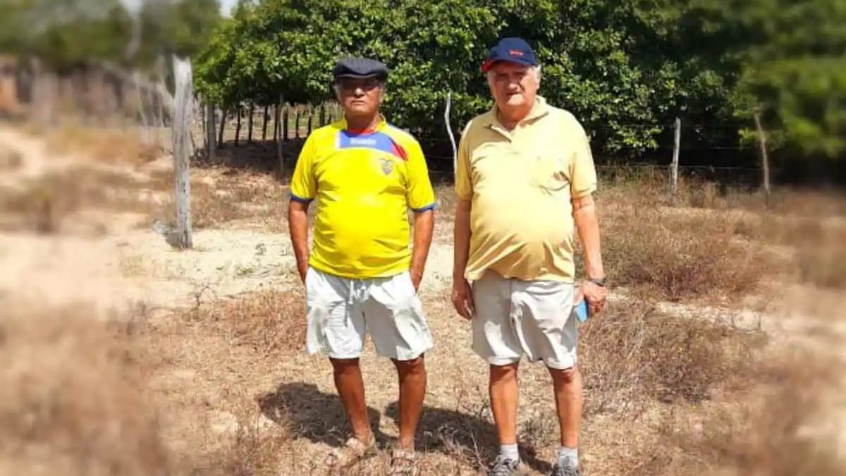 Parnaíba lançará a 5ª edição da Caminhada do Caju que une história, natureza e tradição
