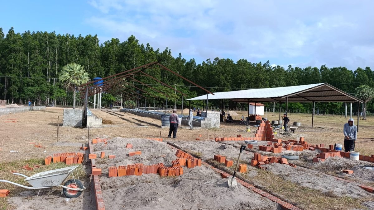 41ª EXPOAPA é confirmada para setembro; Feira da Agricultura Familiar fatura R$ 52 mil e tem nova edição neste sábado